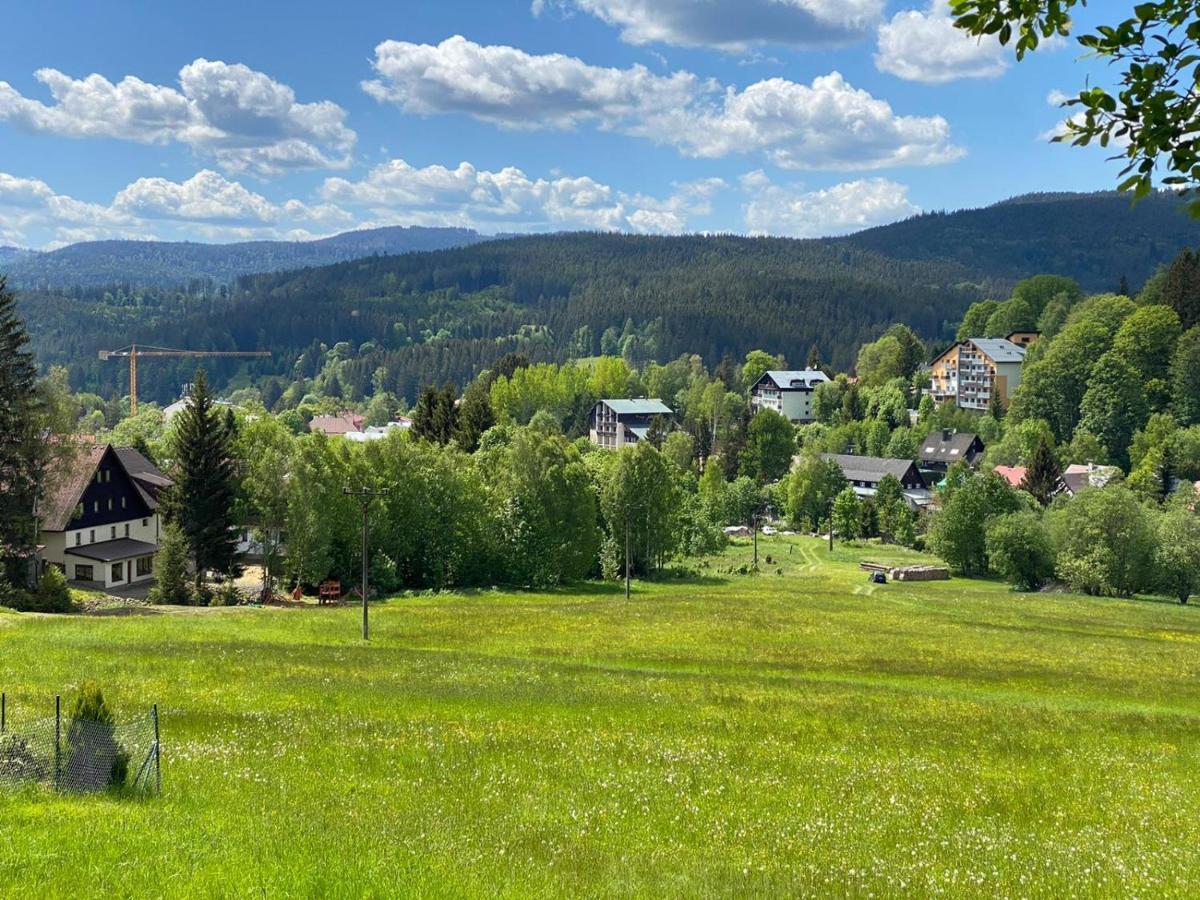 Javor Na Sumave * Železná Ruda